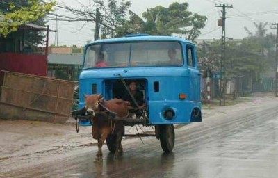 CowTruck.jpg